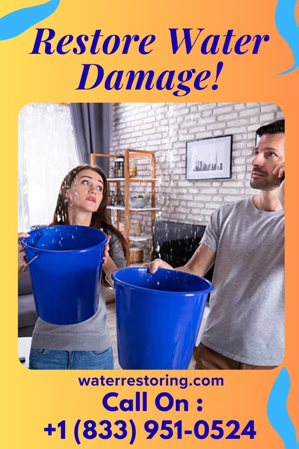 water restoration Best Disaster Recovery Specialists Newell