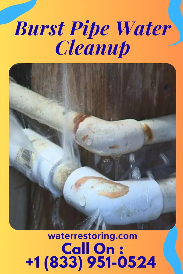 Burst Pipe Water Cleanup in Newell, IA