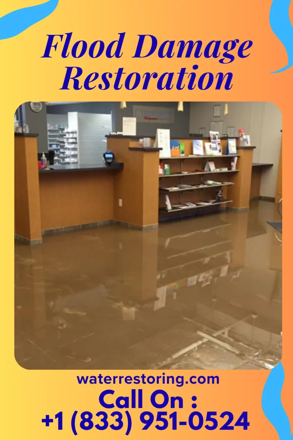 Flood Damage Restoration in Newell, IA