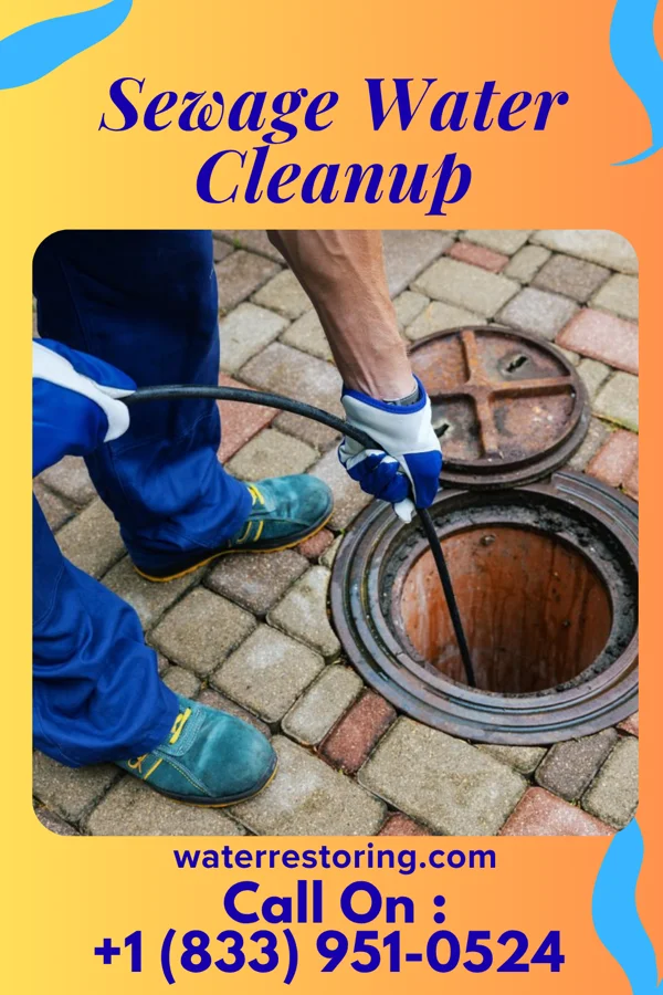 Sewage Water Cleanup in Newell, IA